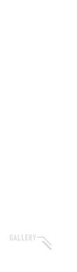 画像：logo